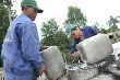 Các đơn vị miền Trung: Sản lượng vượt, trồng mới, tái canh chậm